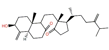 Dehydroswinhosterol B